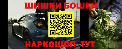 стафф Камышлов