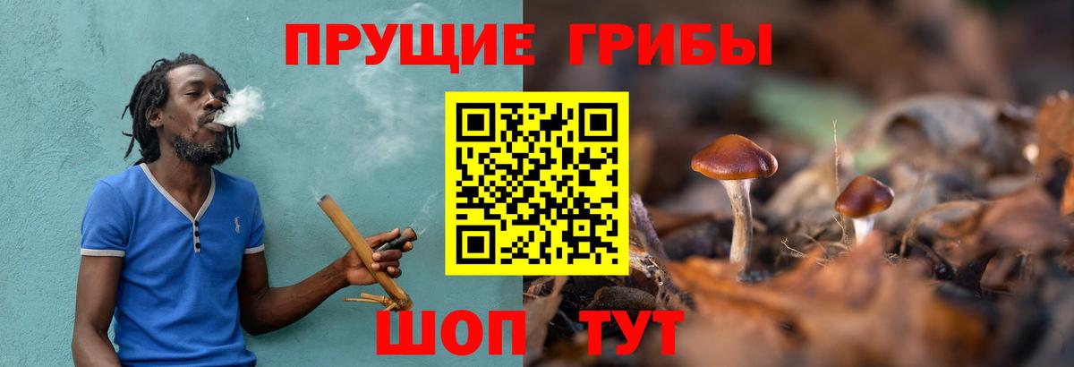 Псилоцибиновые грибы Magic Shrooms  Вход с VPN  Уварово 